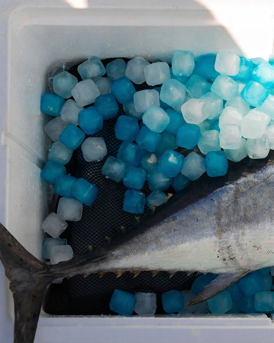 Nilpferd® | 12lb Reusable Bag of Ice (360 Cubes)